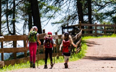 🌿 Les bienfaits des vacances en nature pour les enfants (et les parents aussi !)
