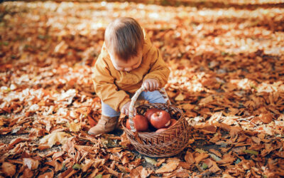 🍁 10 idées d’activités d’automne à faire avec les enfants.